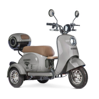 Электротрицикл Rutrike Gelbert Ogma 48V/60V 650Вт