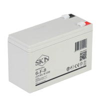 Аккумулятор для ИБП Rutrike SKN 6-F-9 (12V9A/H C20)