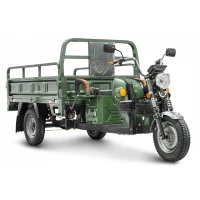 Грузовой электротрицикл Rutrike D4 1800 60V1500W зеленый