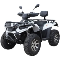 Электроквадроцикл GreenCamel Linhai LH40DA (3900W 50 км/ч) белый